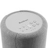 Audio Pro A10 MKII vezeték nélküli multiroom hangszóró, világos szürke