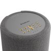 Audio Pro A10 MkII W wireless multiroom speaker, dark grey