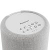 Audio Pro A10 MkII W vezeték nélküli multiroom hangszóró, világos szürke